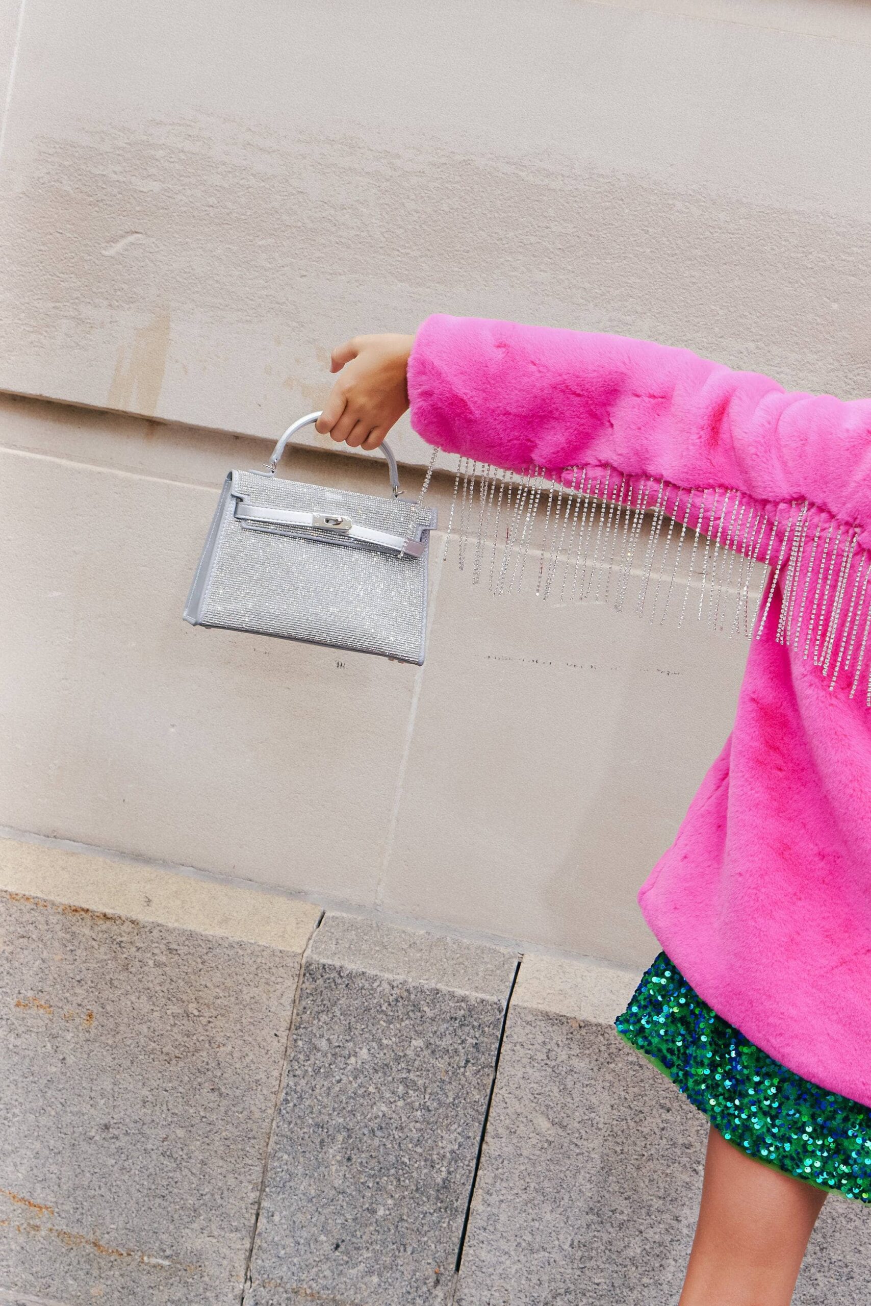 Crystal Dream Purse Crystal Dream Purse
